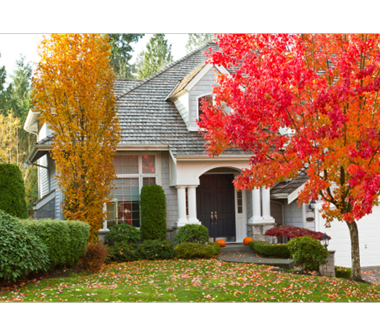 House with fall foliage — disclosure protection this fall